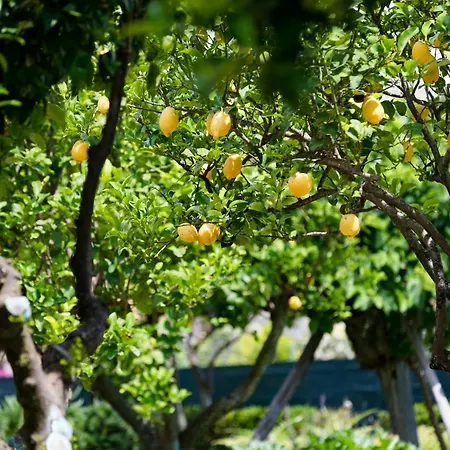 Appartamento Palazzo Ciannelli *