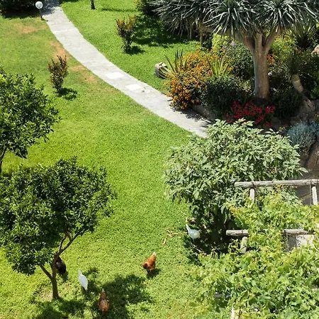 Apartment Palazzo Ciannelli