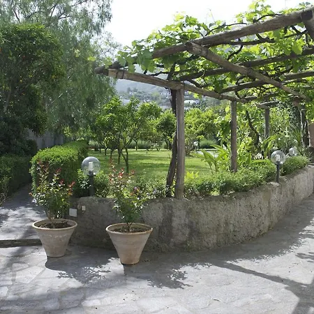 Apartment Palazzo Ciannelli